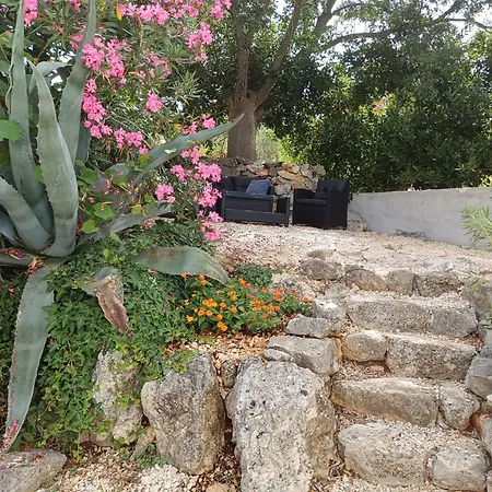Centrally Located 3 Bedroom House O'live With Private Garden Holiday home Marina